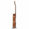 Guitare Manuel Rodriguez STOCK PRIVE LIMITE Tesoro de Camer˙n Ac˙stica