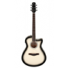 Guitare Ibanez AAM370M1CE-TPA Transparent Panda