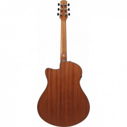 Ibanez AAM50CECRO Coral Burst Open Pore