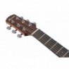 Ibanez AAM50CECRO Coral Burst Open Pore