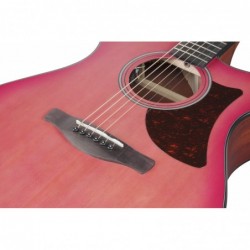 Ibanez AAM50CECRO Coral Burst Open Pore