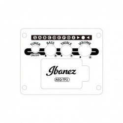Ibanez AAM50CECRO Coral Burst Open Pore