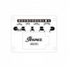 Ibanez AAM50CECRO Coral Burst Open Pore