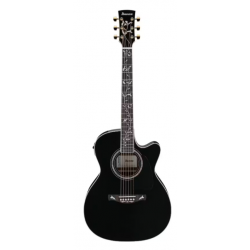 Ibanez AC391RCEBKH Black Top