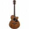 Guitare Èlectro acoustique Ibanez AE245NT