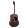 Applause Guitare acoustique Wood Classics AAD96-M naturel mat acajou