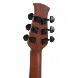 Applause Guitare acoustique Wood Classics AAD96-M naturel mat acajou