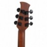 Applause Guitare acoustique Wood Classics AAD96-M naturel mat acajou