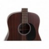 Applause Guitare acoustique Wood Classics AAD96-M naturel mat acajou