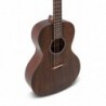 Parlor Applause AAP-96-AN Vintage