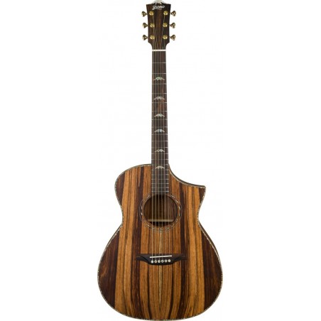 Guitare BROMO BAR4GCE avec housse