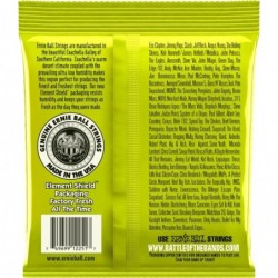 CORDE ERNIE BALL CLASSIC PURE NICKEL REGULAR SLINKY
