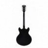 Guitare D'ANGELICO Premier DC Black Flake (avec housse)