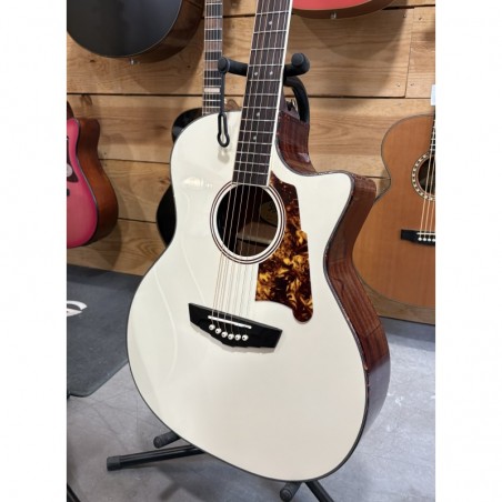 D'ANGELICO Premier Gramercy Gloss Cream