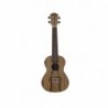UKULELE CONCERT ALABAMA DAO ELECTRO