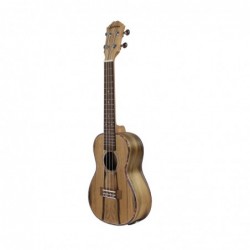 UKULELE CONCERT ALABAMA DAO ELECTRO