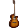 Guitare L¬G T118ASCE-BRS