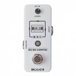 MOOER MICRO LOOPER