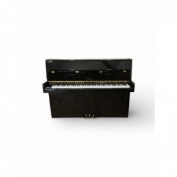 Piano George Steck US09A Occasion