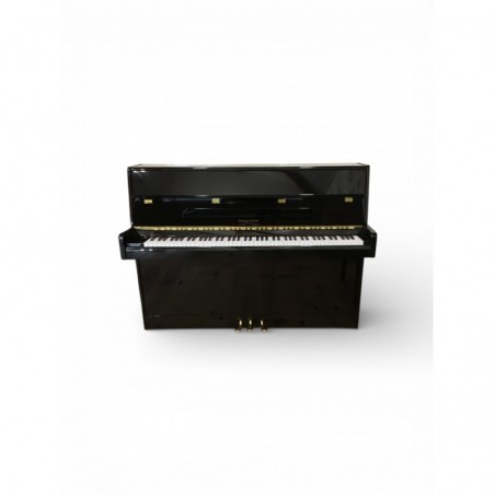 Piano George Steck US09A Occasion