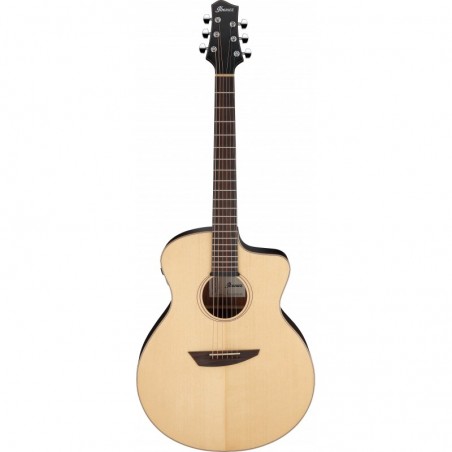 Guitare Èlectro acoustique Ibanez PA300ENSL
