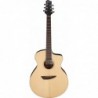 Guitare Èlectro acoustique Ibanez PA300ENSL