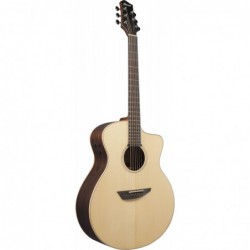 Guitare Èlectro acoustique Ibanez PA300ENSL