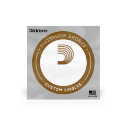 Corde seule pour guitare acoustique avec filet en bronze phosphoreux D'Addario PB021, .21