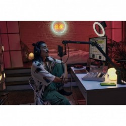 Micro SHURE SM4-K-KIT Studio - SM4 avec suspension, anti-pop et mallette