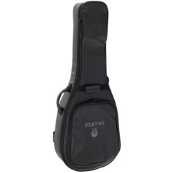 PLEYEL P2000
