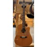 Occasion Seagull Performer CW Cedar