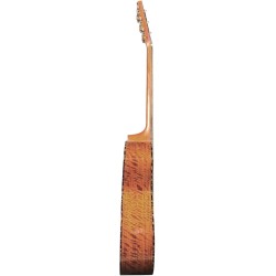 Bromo BAN2 CE - Guitare électro-acoustique folk + housse