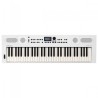 Roland GO:KEYS 5 White – Clavier de création musicale 61 touches ZEN-Core