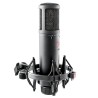 sE Electronics sE2200 – Micro statique grand diaphragme studio