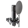 sE Electronics sE2200 – Micro statique grand diaphragme studio