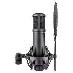 sE Electronics sE2200 – Micro statique grand diaphragme studio