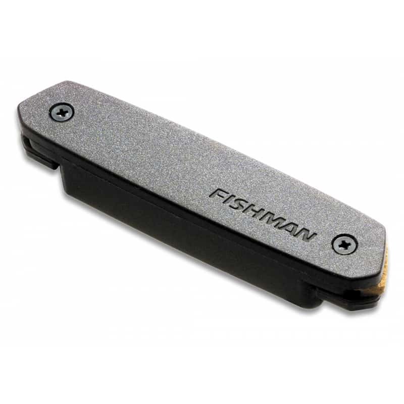 Micro Simple Bobinage Fishman Neo-D | Ubico Musique