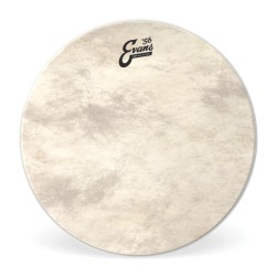 Peau Frappe G.caisse 18P Calftone EQ4 - Evans
