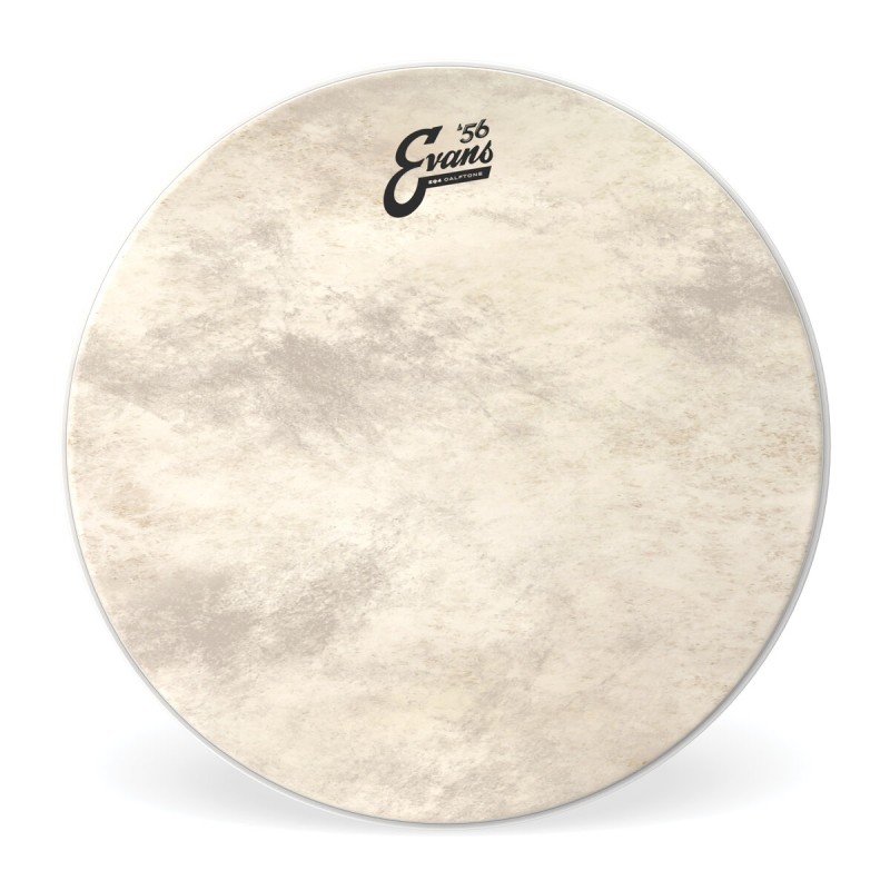 Peau Frappe G.caisse 18P Calftone EQ4 - Evans