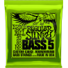 Corde Ernie Ball Basses Slinky Nickel Wound Regular 5C 45-6…