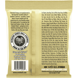 Ernie Ball Earthwood Medium Light 80/20 Bronze 12-54
