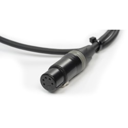 Algam Lighting ADAPT-XLR-M3F5 - Adaptateur DMX XLR 3M/5F