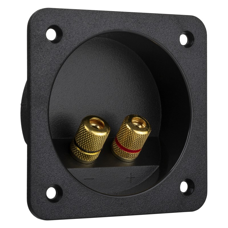 JB Systems TE10 - Plaque de connection pour enceinte avec 2 borniers