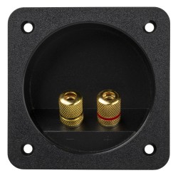 JB Systems TE10 - Plaque de connection pour enceinte avec 2 borniers