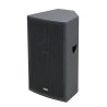 JB Systems PWX 15/300 - Woofer 15 pouces / 300Wrms