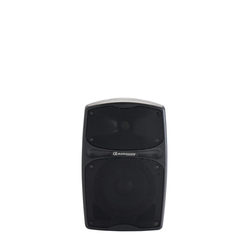 Audiophony RACER80/F5 - Sono port. 80W + 1 récept.F5 et 1 ant. montés