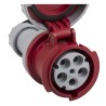 Hilec CEE-CABLE-63A-5G16-10M - Câble de rallonge CEE à 5 pôles, 5G16, 