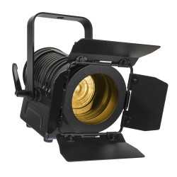 Briteq BT-THEATRE 20WW (BLACK) - Spot de théâtre à LED blanc chaud 20w