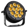 Briteq BTI-FLATPAR12 - Projecteur IP65 robuste et plat, équipé de 12 L