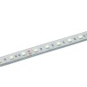 Contest PURETAPE6067-COLD - Ruban LEDs Cold 6000K, 24V, 15W/m, 60leds/